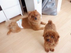 DSCF1053.JPG