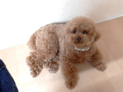 DSCF1052.JPG