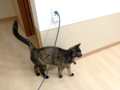 DSCF1073.JPG