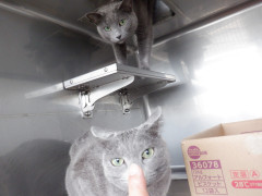 DSCF1059.JPG