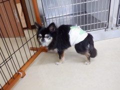 DSCF1085.JPG