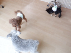 DSCF1142.JPG
