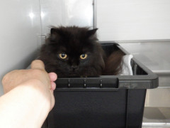 DSCF1130.JPG