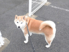DSCF1156.JPG
