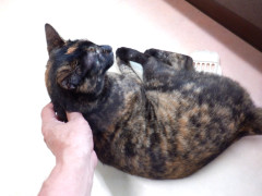DSCF1162.JPG