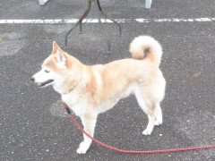 DSCF1181.JPG