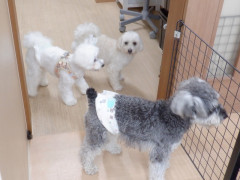 DSCF1185.JPG