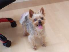 DSCF1189.JPG
