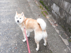 DSCF1203.JPG