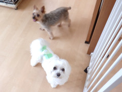 DSCF1219.JPG
