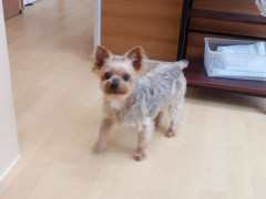 DSCF1207.JPG