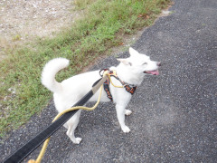 DSCF1215.JPG
