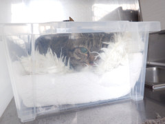 DSCF1221.JPG