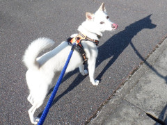 DSCF1223.JPG