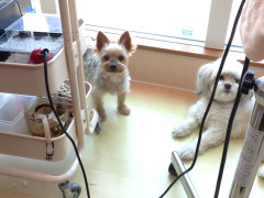 DSCF1231.JPG
