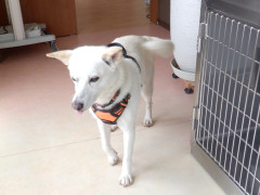 DSCF1238.JPG