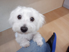 DSCF1240.JPG