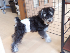 DSCF1246.JPG