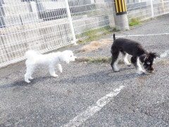 DSCF1250.JPG