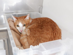 DSCF1259.JPG