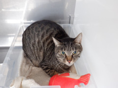 DSCF1262.JPG