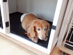 DSCF1275.JPG