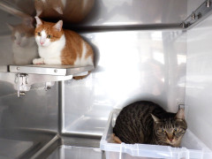 DSCF1292.JPG