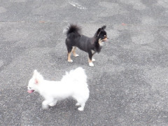 DSCF1284.JPG