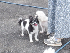 DSCF1285.JPG