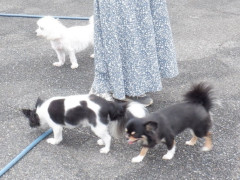 DSCF1288.JPG
