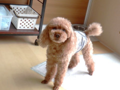 DSCF1305.JPG