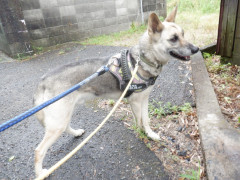 DSCF1319.JPG