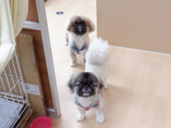 DSCF1329.JPG