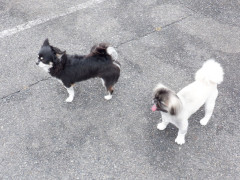 DSCF1346.JPG