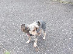 DSCF1357.JPG