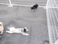 DSCF1350.JPG