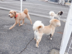DSCF1339.JPG
