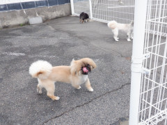 DSCF1341.JPG