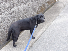 DSCF1359.JPG