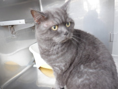 DSCF1379.JPG