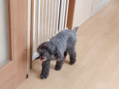 DSCF1386.JPG