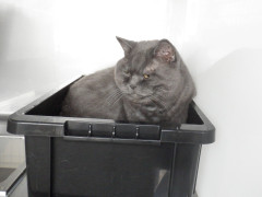 DSCF1389.JPG