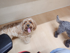 DSCF1403.JPG