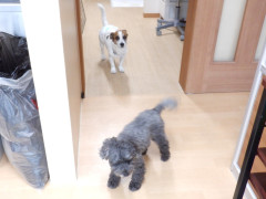 DSCF1399.JPG
