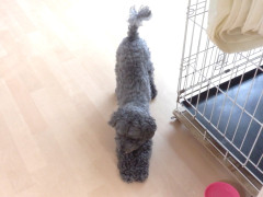 DSCF1397.JPG