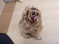 DSCF1408.JPG