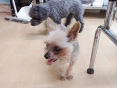DSCF1422.JPG