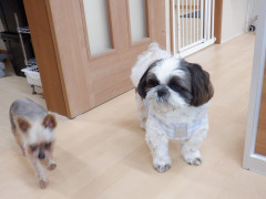 DSCF1419.JPG