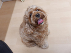 DSCF1408.JPG