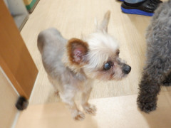 DSCF1445.JPG